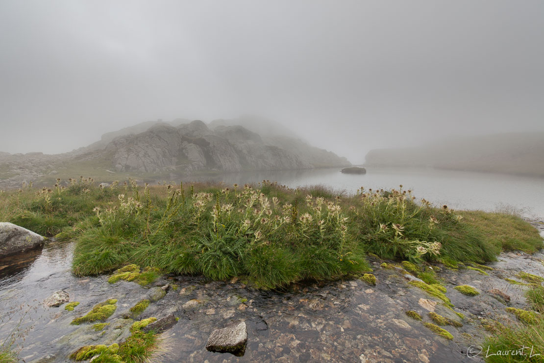 Voiles de nuages sur le lac Balaour  |  1/80 s à f/7,1 - 100 ISO - 15 mm  |  16/08/2015 - 16:43  |  44°6'31" N 7°22'23" E  |  2342 m