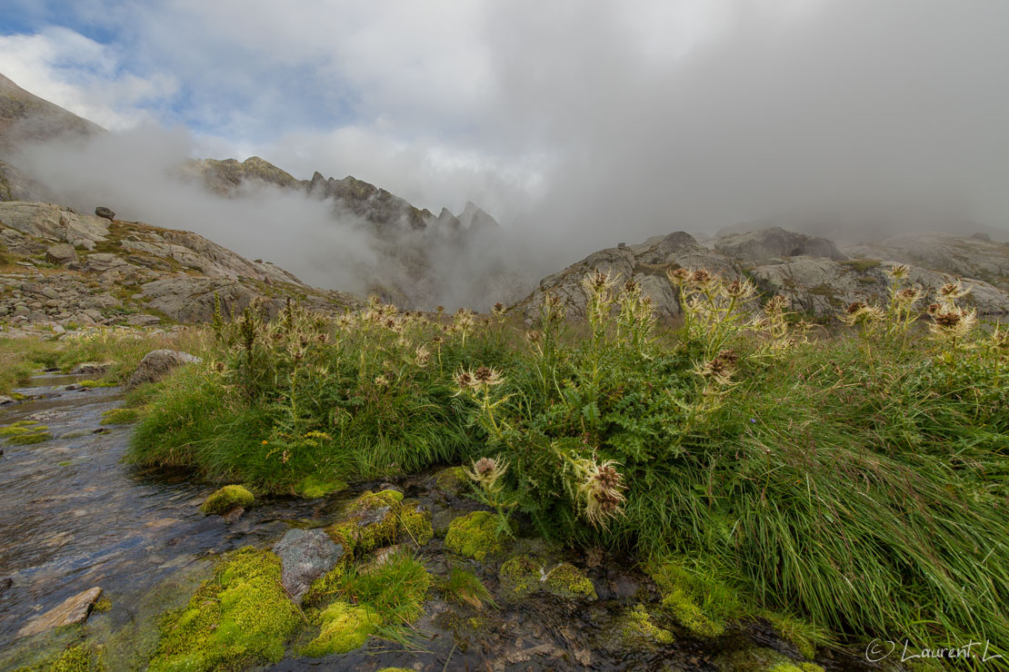 Après la pluie  |  1/100 s à f/9,0 - 100 ISO - 15 mm  |  16/08/2015 - 17:48  |  44°6'31" N 7°22'23" E  |  2342 m