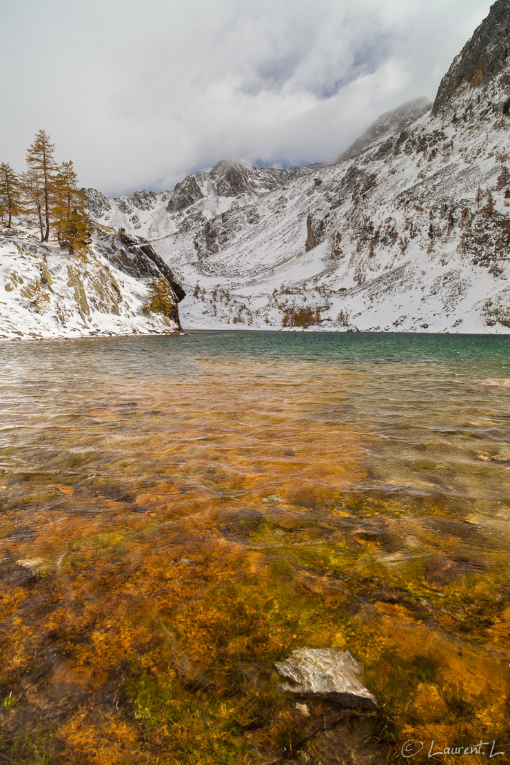 Amas d'aiguilles de mélèzes  |  1/60 s à f/11 - 100 ISO - 21 mm  |  18/10/2010 - 14:32  |  44°6'60" N 7°20'23" E  |  2162 m