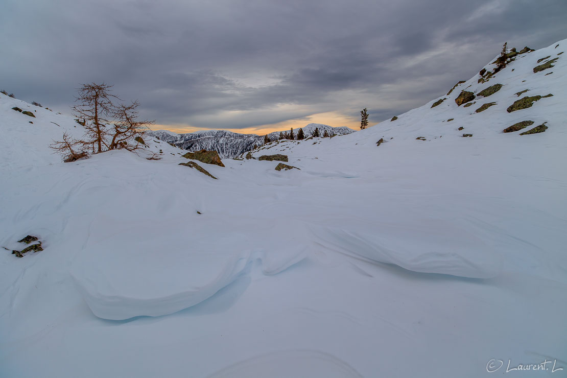 A l'approche de la forêt, la pente s'adoucit  |  1/60 s à f/9,0 - 100 ISO - 21 mm  |  27/01/2013 - 14:57  |  44°7'55" N 7°17'31" E  |  2209 m