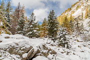 101018_Randonnee_lac_de_Trecolpas_015.jpg