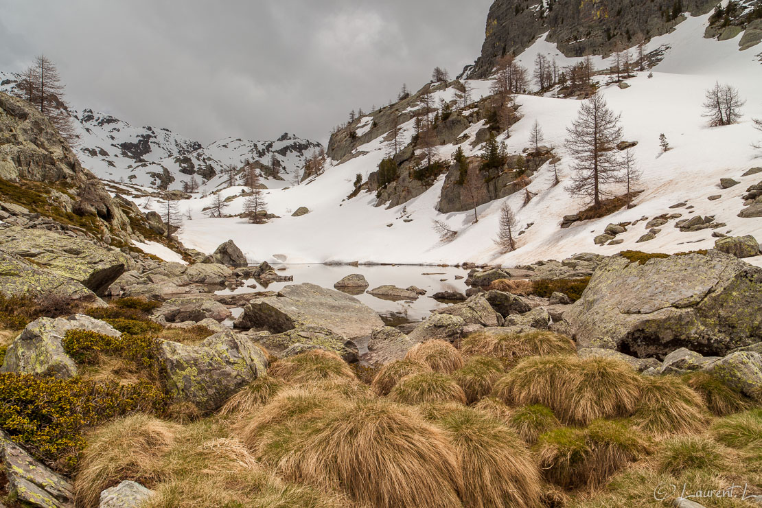 Printemps dans le vallon des Verrairiers  |  1/60 s à f/11 - 100 ISO - 21 mm  |  02/06/2013 - 13:31  |  44°3'30" N 7°24'32" E  |  2158 m