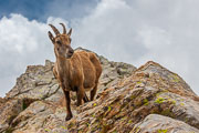 120624_Randonnee_lac_Autier_baisse_Basto_lac_Nire_060.jpg