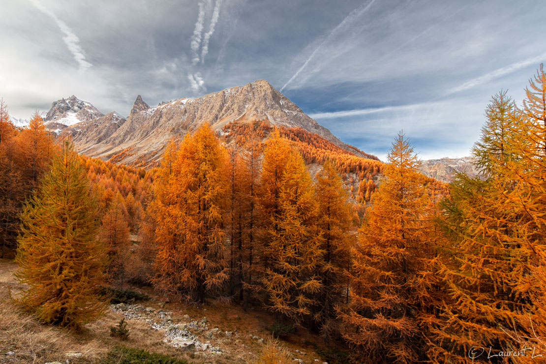 Mélézin dans le vallon de Mary  |  1/50 s à f/9,0 - 100 ISO - 15 mm  |  24/10/2015 - 10:01  |  44°35'23" N 6°51'36" E  |  2071 m