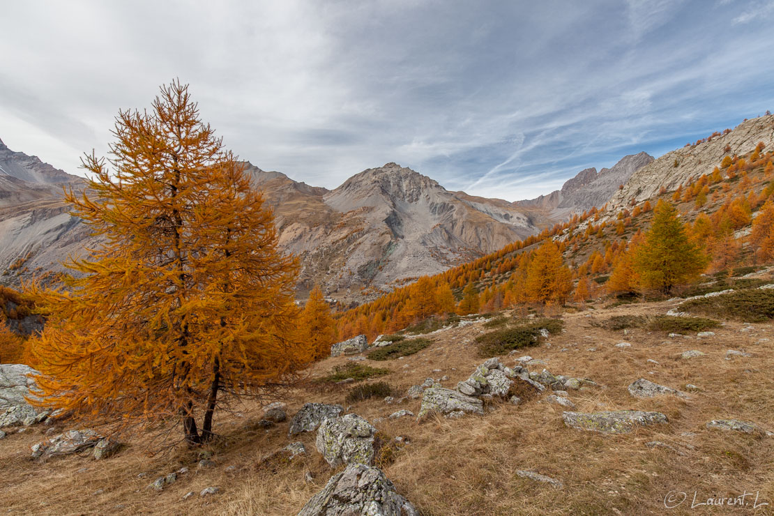 Vallon de Mary  |  1/80 s à f/9,0 - 100 ISO - 15 mm  |  24/10/2015 - 16:28  |  44°35'9" N 6°51'42" E  |  2188 m