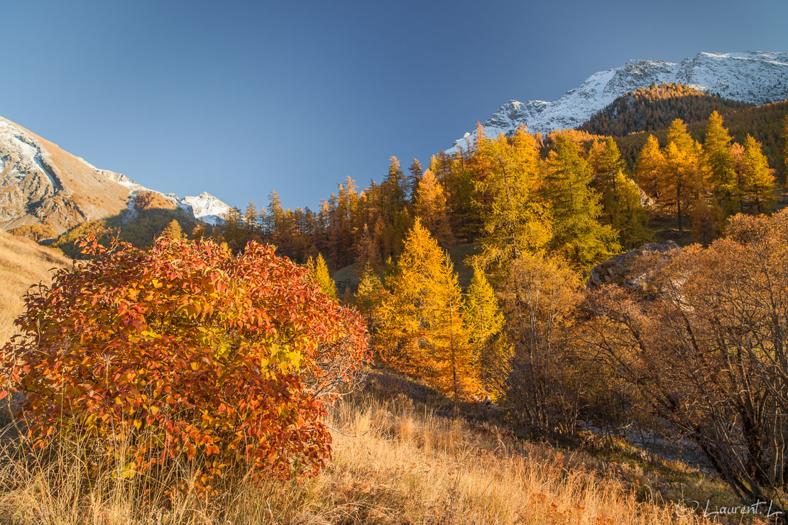 Riou de Fouillouse  |  1/40 s à f/6,3 - 200 ISO - 21 mm  |  22/10/2011 - 17:58  |  44°31'31" N 6°48'6" E  |  1880 m