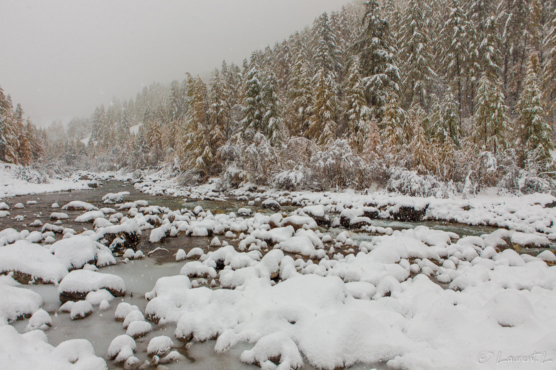 Tempête de neige  |  1/320 s à f/8,0 - 400 ISO - 24 mm  |  25/10/2011 - 11:17  |  44°31'28" N 6°46'7" E  |  1470 m