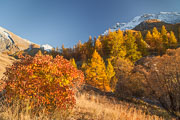 111022_Haute_Ubaye_Fouillouse_005.jpg