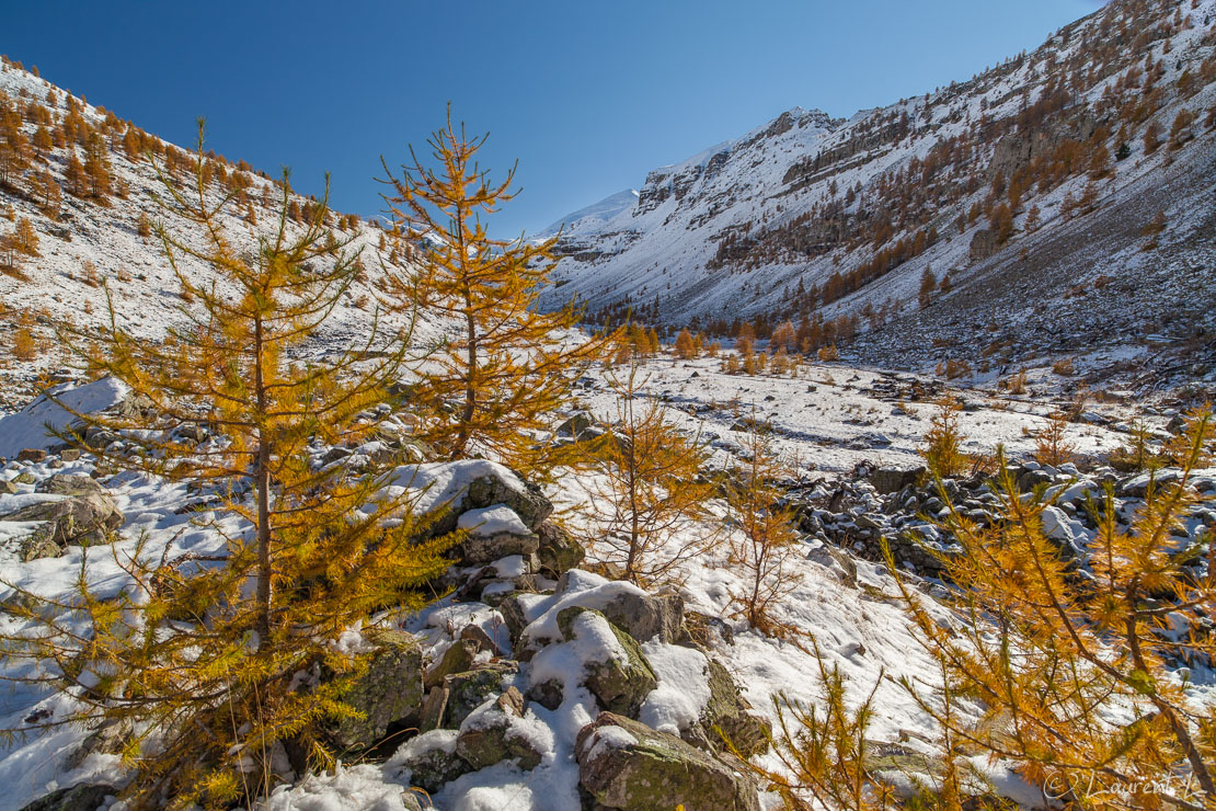 Vallon de Pelouse et ses mélèzes clairsemés  |  1/60 s à f/9,0 - 100 ISO - 21 mm  |  26/10/2011 - 15:32  |  44°22'30" N 6°50'28" E  |  2038 m