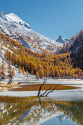 111026_Lac_des_Sagnes_020.jpg