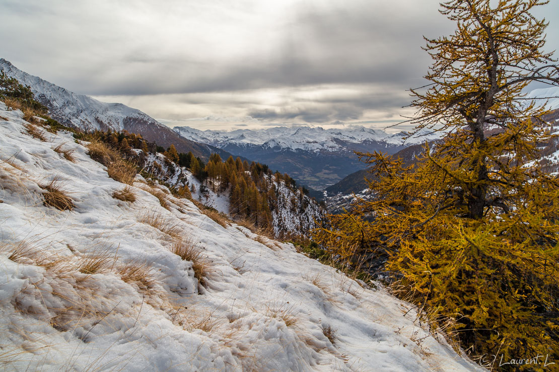 Automne sur le serre de l'Aut  |  1/80 s à f/9,0 - 100 ISO - 21 mm  |  28/10/2011 - 12:52  |  44°28'17" N 6°44'19" E  |  2005 m