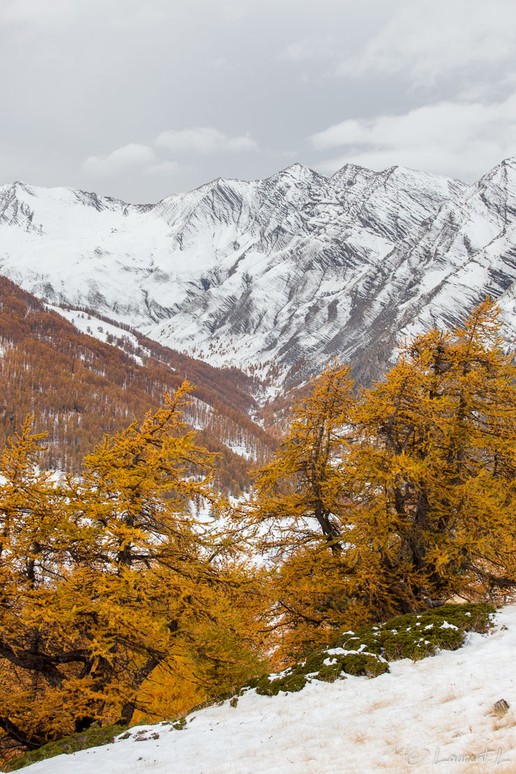 La vallée du Parpaillon sous la neige  |  1/125 s à f/9,0 - 100 ISO - 70 mm  |  28/10/2011 - 14:14  |  44°28'17" N 6°44'20" E  |  2003 m