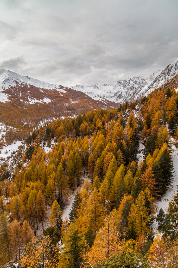 Fin d'automne dans le Parpaillon  |  1/40 s à f/9,0 - 100 ISO - 21 mm  |  28/10/2011 - 15:05  |  44°28'32" N 6°44'1" E  |  1936 m