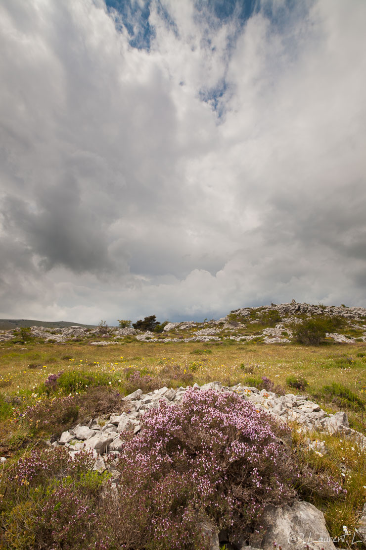 Ciel encombré  |  1/400 s à f/9,0 - 100 ISO - 15 mm  |  25/05/2015 - 14:05  |  43°45'30" N 6°54'56" E  |  1250 m