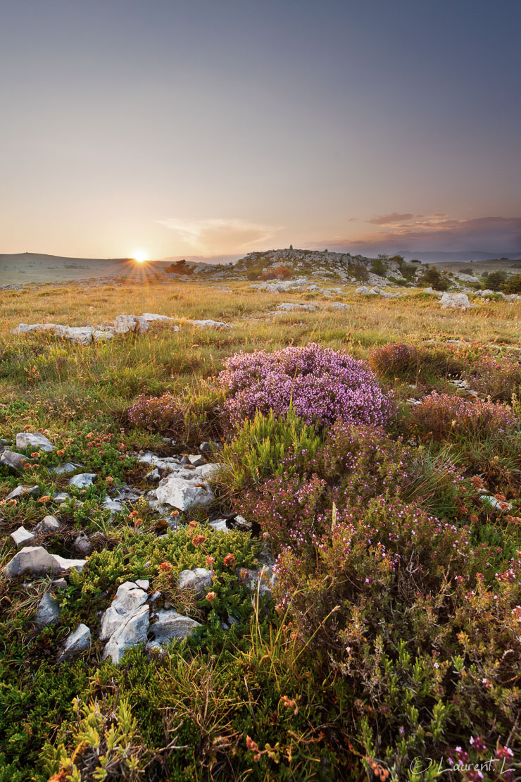 Avant que le soleil ne disparaisse  |  1/10 s à f/9,0 - 100 ISO - 15 mm  |  30/05/2015 - 20:42  |  43°45'30" N 6°54'58" E  |  1250 m