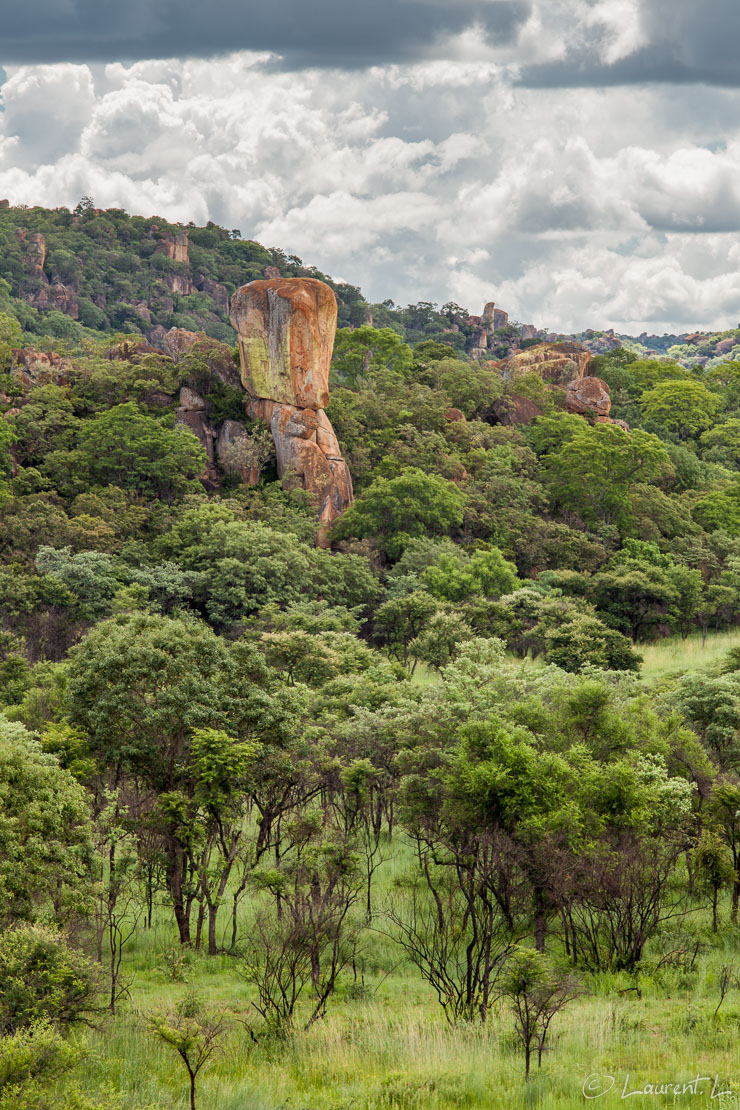 Le masque (Matobo National Park)  |  1/125 s à f/8,0 - 100 ISO - 200 mm  |  27/12/2010 - 14:20  |  20°33'43" S 28°24'12" E  |  1232 m