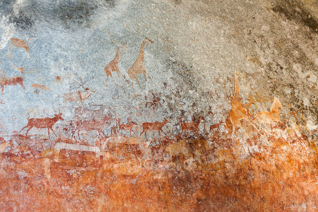 Au bout de la piste... (Matobo National Park)  |  1/50 s à f/5,0 - 800 ISO - 54 mm  |  28/12/2010 - 14:12  |  20°32'9" S 28°28'27" E  |  1371 m