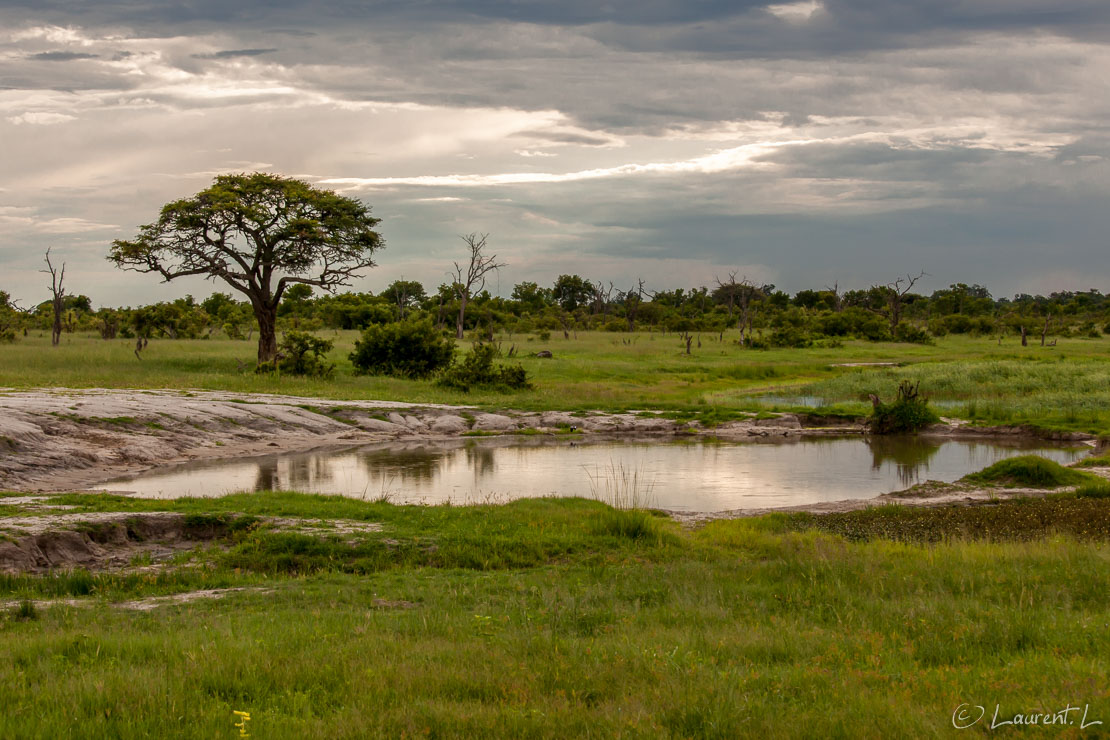 Elephant waterhole (Hwange National Park)  |  1/800 s à f/9,0 - 800 ISO - 70 mm  |  02/01/2011 - 17:47  |  18°41'26" S 26°57'26" E  |  1057 m