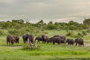 101231_Hwange_National_Park_051.jpg