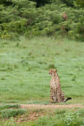 110102_Hwange_National_Park_012.jpg