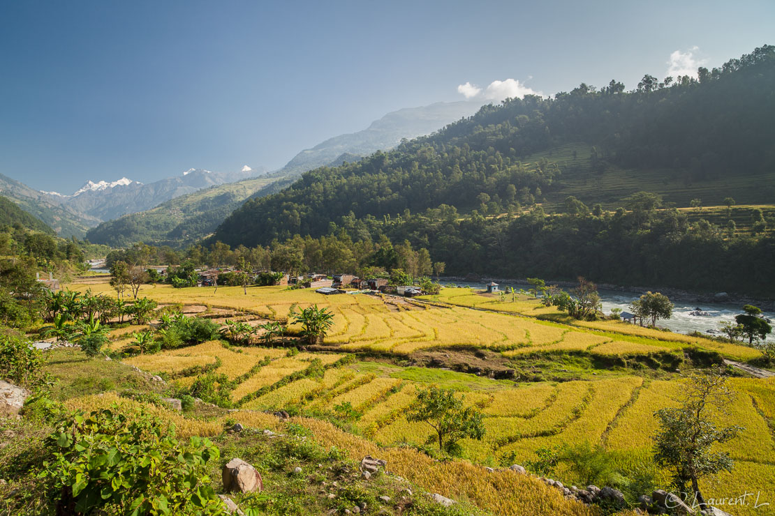 Au loin, le Ganesh Himal (7118 m)  |  1/60 s à f/6,3 - 100 ISO - 21 mm  |  24/10/2013 - 08:55  |  28°5'2" N 84°49'44" E  |  523 m