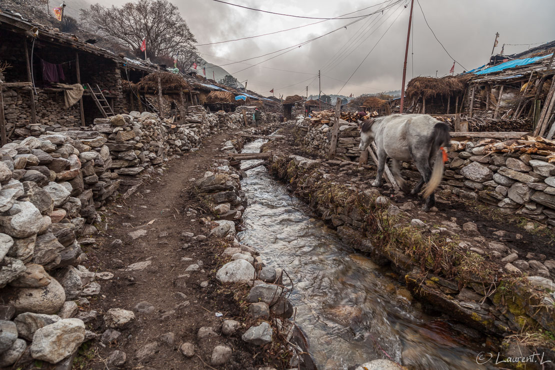 Dans les rue de Sama Gompa  |  1/30 s à f/5,6 - 100 ISO - 21 mm  |  30/10/2013 - 15:35  |  28°35'2" N 84°38'47" E  |  3530 m