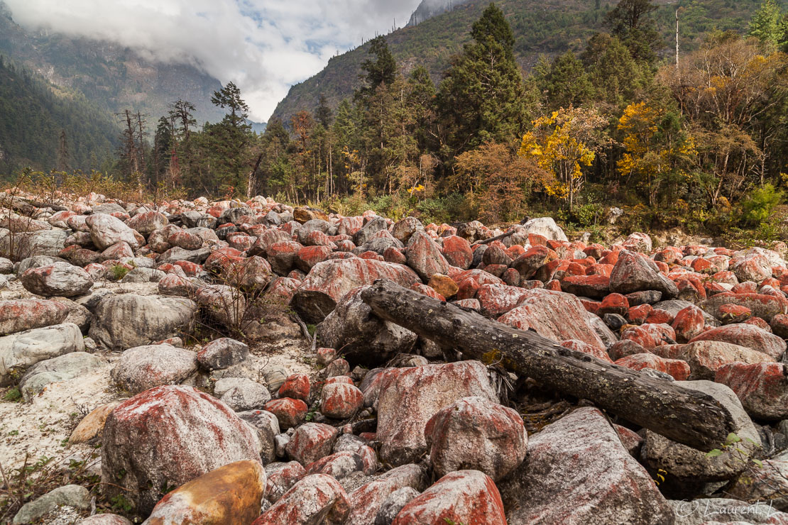 Lichens rouges  |  1/40 s à f/6,3 - 100 ISO - 21 mm  |  03/11/2013 - 14:13  |  28°35'22" N 84°25'2" E  |  2698 m