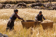 131029_Trek_Manaslu_Etape_Namrung_Sama_Gompa_043.jpg