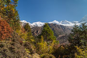 131103_Trek_Manaslu_Etape_Bimtang_Tilije_034.jpg