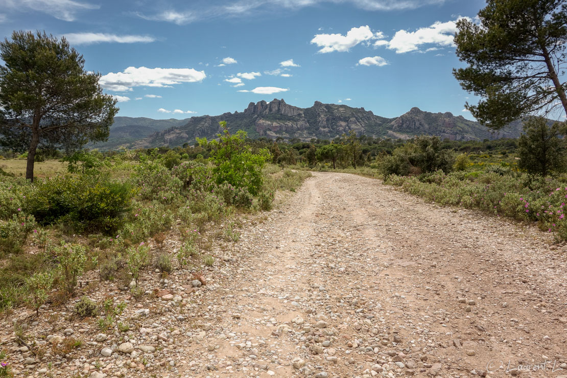 Etape 4 : Fréjus / Bellevue ↔ Le Muy (28,3 kms)  |  27/04/2014 - 14:34  |  Après Fréjus, j'entre dans le coeur de la Provence. Je longe des pistes caillouteuses malaxant mes pieds endoloris. Ici je laisse dans mon dos le célèbre rocher de Roquebrune-sur-Argens. Le temps est toujours aussi agréable.