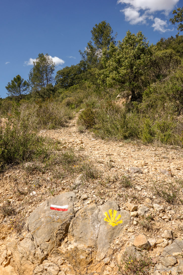 Etape 6 : Le Thoronet ↔ Le Val (33,4 kms)  |  29/04/2014 - 15:16  |  Encore plus de 32 kms pour cette sixième étape. Voilà des traces du Chemin que je croiserai durant tout mon périple (parfois pas assez d'ailleurs, car il m'arrive de m'égarer...) :  les marques blanches et rouges du GR et la marque du chemin de Compostelle ici joliment représentée (plus souvent, j'ai droit à un autocollant aux dimensions d'un timbre-poste...).