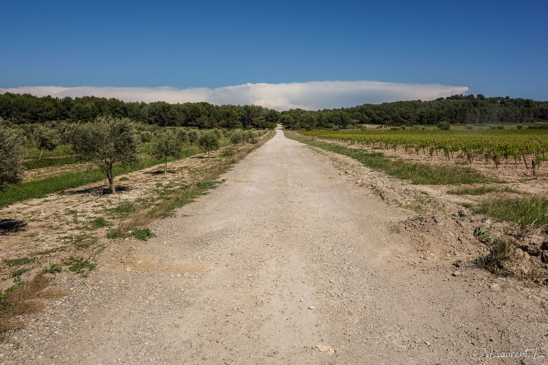 Etape 10 : Aix-en-Provence / Jas-de-Bouffan ↔ Salon-de-Provence / Les Viougues (37,1 kms)  |  03/05/2014 - 16:21  |  Cette étape sera la plus longue de cette année. Le Mistral se déchaîne l'après-midi. Les rafales soufflent à plus de 100 km/h et je les prends de face toute la journée. Le vrombissement continu du vent me fait tourner la tête. Me voilà contraint de mettre des boules Quiès ! J'engage
physiquement pour avancer contre le vent. Ici nous sommes sur l'authentique voie romaine Aurelia à 10 kms de Salon. Au loin vers l'est  en me retournant j'aperçois un énorme cumulo-nimbus (nuage d'orage) sur le Var, là où j'étais il y a quelques jours...