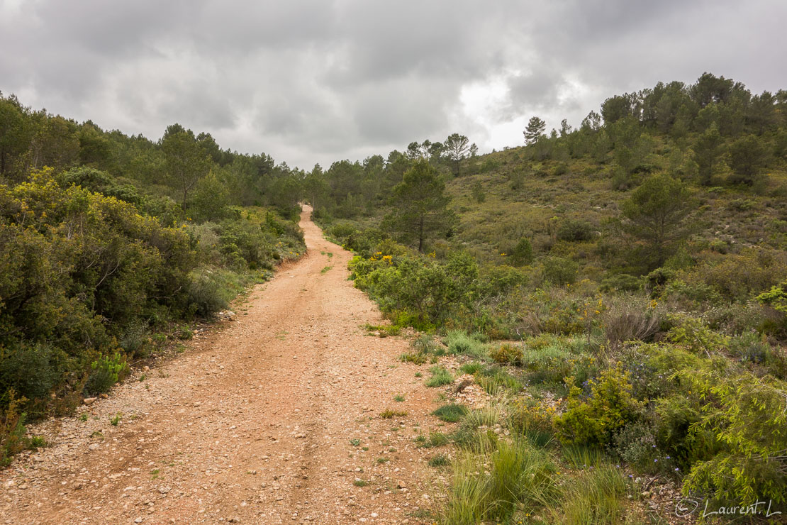 Etape 17 : Grabels - Montarnaud est (12,8 kms)  |  25/04/2015 - 14:46  |  Je reprends en cette année 2015 le Chemin d'Arles en débutant par une demie-étape. Je suis ému malgré un temps pluvieux car je sais que je vais traverser de belles régions d'une part, que je croiserai plus de pèlerins que l'année précédente d'autre part. De plus, j'ai pris trois semaines pleines de congés pour poursuivre mon périple vers le sud-ouest. L'aventure quoi ! A peine parti de chez mes amis, je double au milieu de nulle part deux pèlerins partis d'Arles. Cette année, je ne vivrai pas une traversée déserte comme en Provence, c'est sûr.