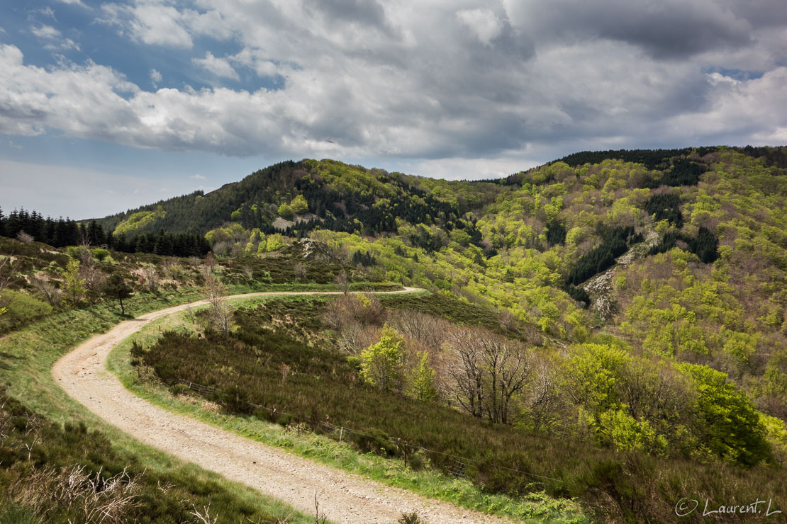 Etape 22 : Lunas ↔ Mècle (25,9 kms)  |  30/04/2015 - 12:40  |  Voilà une étape admirable, sans doute une des plus magnifique de mon parcours, avec une belle variété de paysages printaniers et une piste en belvédère sur une grande partie de la journée. L'étape est exigeante avec un dénivelé important et une montée abrupte le matin, mais je suis en forme et enthousiaste. En matinée je rencontre un jeune pèlerin croisé deux jours plus tôt dont l'ambition est de rejoindre le Portugal. Avec son petit budget, il alterne les nuits sous tente et en gîte. Nous marchons ensemble quelques heures.