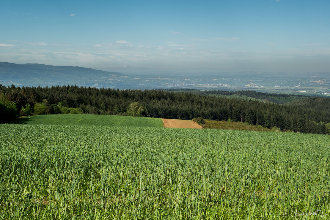 Etape 26 : Le Reclot / Le Bouisset ↔ Castres (30,8 kms)  |  04/05/2015 - 10:02  |  Cette journée de marche me fait quitter les plateaux du Haut Languedoc pour la préfecture du Tarn, Castres. Une longue étape, d'autant plus longue qu'une nouvelle fois je commets deux erreurs de parcours. Les montées et descentes se succèdent et, à la longue, finissent par m'éreinter. Je marche toute la journée avec une jeune pèlerine qui s'arrête à Castres. Elle fait ce que font beaucoup de pèlerins actifs : elle consacre une semaine de congés au Chemin chaque année. En ce qui me concerne, j'ai réservé cette année trois semaines de mon temps pour aller jusqu'où mes jambes me porteront. Et voilà que je termine ma dizième journée de marche depuis Grabels.