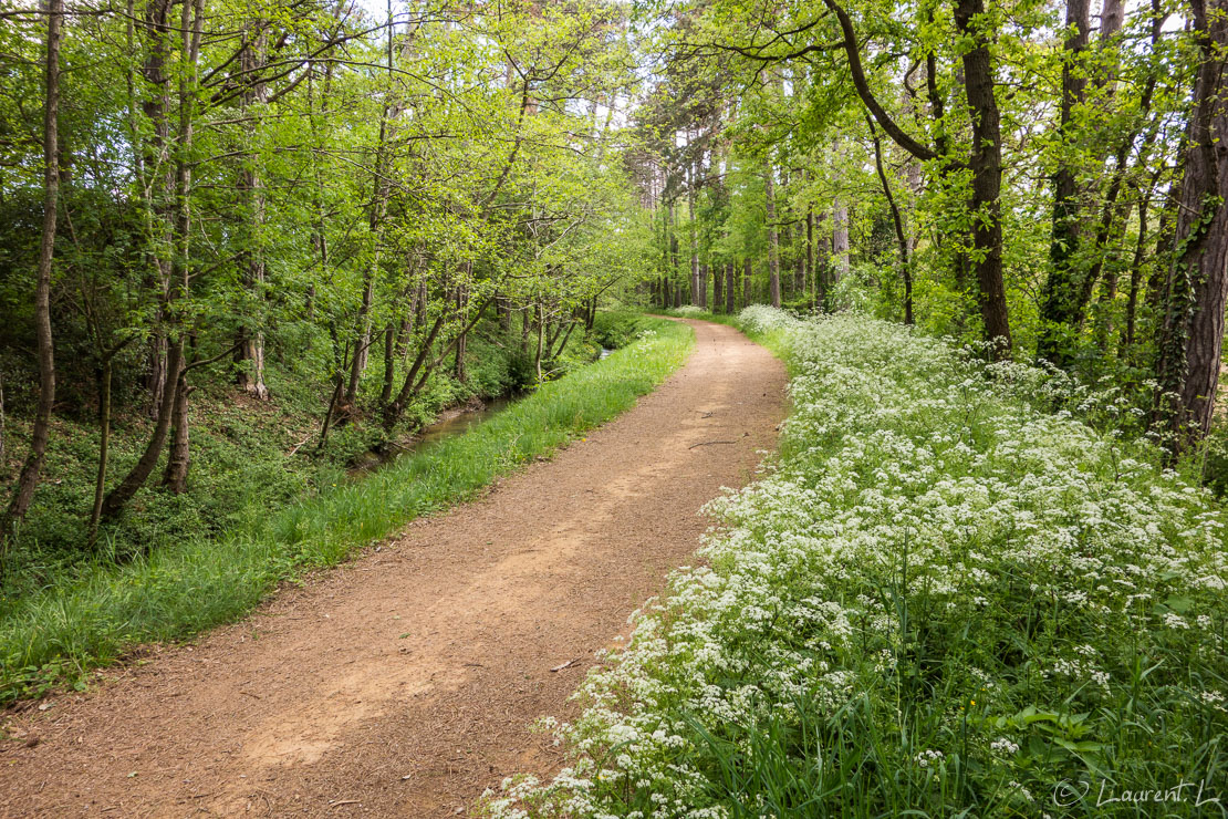 Etape 28 : Saint Amancet ↔ Les Cassés (28,4 kms)  |  06/05/2015 - 13:49  |  Encore une étape plane avec une partie bitumée jusqu'à la ville de Revel. Ensuite j'emprunte une piste longeant la célèbre Rigole, une noue d'alimentation en eau pour le canal du Midi datant du XVII-XVIIIème siècle. Un chemin (sur cette photo) longe cet aménagement sur plusieurs dizaines de kilomètres. Plutôt agréable comme ambiance. J'atteins mon gîte privé du jour un peu à l'écart de la Rigole en milieu d'après-midi dans le petit village tarnais des Cassés.