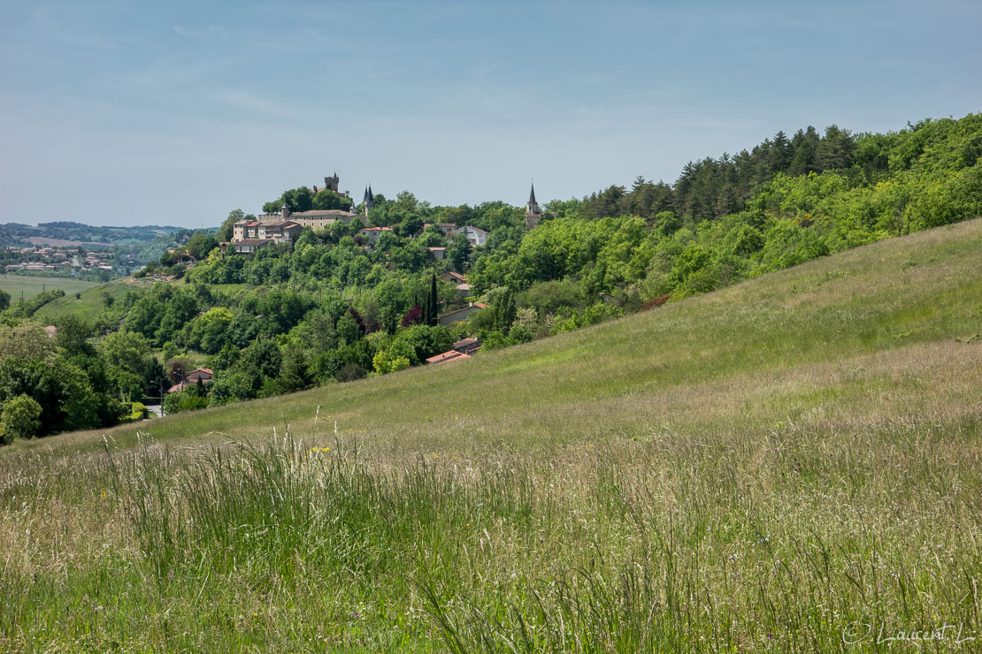 Etape 33 : Giscaro / Le Grangé ↔ Montégut (32,3 kms)  |  11/05/2015 - 15:19  |  Etape sous un soleil de plomb, particulièrement l'après-midi quand la pente s'élève dans un environnement sans arbre. MétéoFrance avait annoncé plus de 31 °C à l'ombre. Au déjeuner à Lussac, je ravitaille ma poche à eau de deux litres d'eau. J'y retrouve mon couple de pèlerins alerte mais quand même diminué par la chaleur. Je les rejoindrai en milieu d'après-midi dans le sympathique gîte privé de Montégut. Je comprends alors pourquoi j'ai eu autant de difficulté à gravir les quelques collines qui précèdent mon arrivée : au gîte, un thermomètre à l'ombre affiche 33°C !