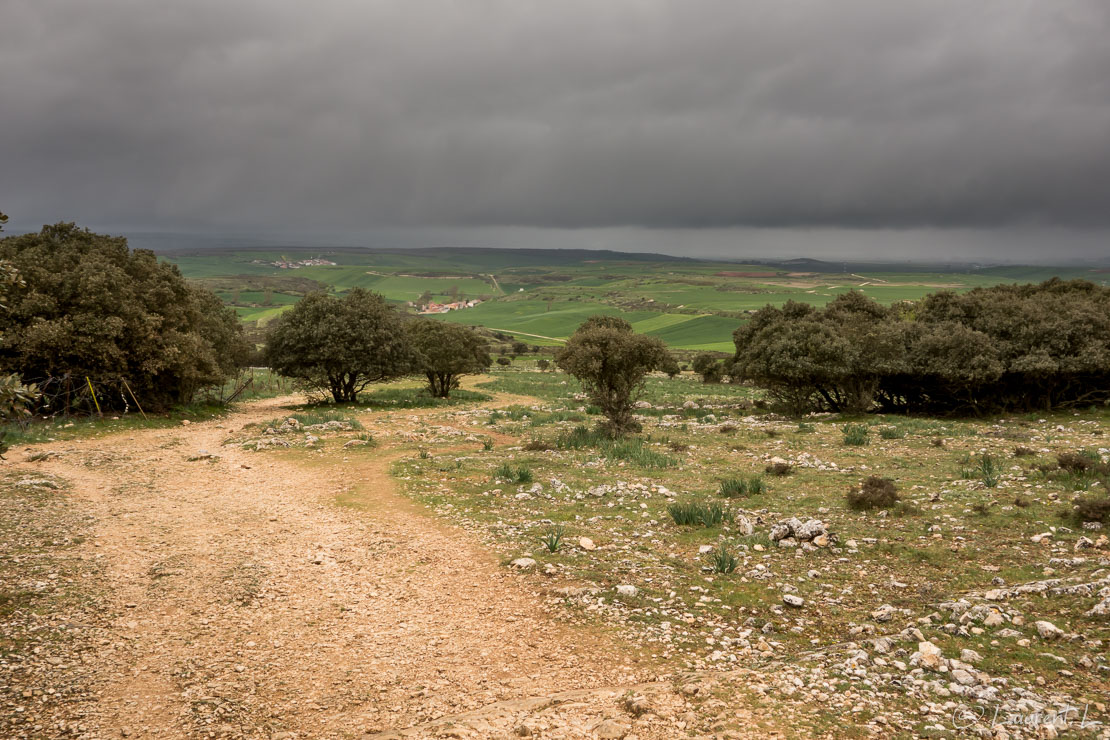 Etape 53 : Espinosa-del-Camino ↔ Cardeñuela-Riopico (28,2 kms)  |  08/05/2016 - 13:30  |  En cette journée placée sous le signe des averses, je franchis une petite chaîne de montagne à l'est de la province de Burgos et en Castille-et-León, le Montes d'Oca. Comme à l'accoutumée, depuis Punta-la-Reina je croise beaucoup de pèlerins le matin. Les paysages changent : de larges vallons cultivés je passe dans des forêts de chênes et de pins ressemblant étrangement aux montagnes du Haut Languedoc. Après déjeuner, je m'active car le temps s'assombrit de plus en plus. Les derniers kilomètres sont faits sous une pluie battante et un vent cinglant de face.