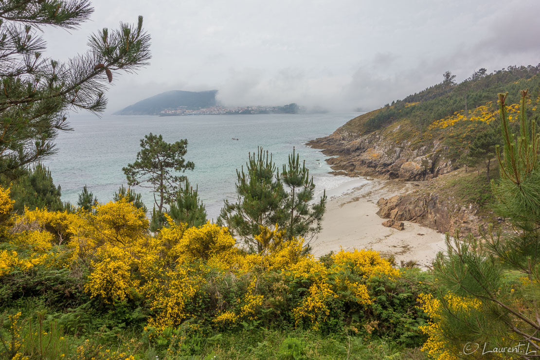 Etape 74 : Hospital ↔ Cabo Fisterra (31,4 kms)  |  09/05/2017 - 12:27  |  Ca y est, j'arrive au bout de mon périple : le cap Finisterre, la pointe extrême occidentale de l'Europe. De mon départ du petit village d'Hospital, je retrouve enfin durablement une piste en terre. Les pèlerins sont plutôt rares ici. J'en croise peu. Après deux heures et demi de marche, j'aperçois enfin la mer, je perçois aussi une odeur iodée qui m'émeut. J'atteins enfin la plage de Langosteira (derrière la photo) qui précède de plusieurs kilomètres le village de Fisterra. Au moment où je marche sur le sable, le brouillard fait son apparition donnant aux lieux un caractère fantomatique. Après un bref déjeuner à Fisterra, je continue vers l'ouest pour rejoindre le cap éponyme distant de 2-3 kilomètres. Une grande émotion m'envahis lorsque j'atteins le but ultime de mon voyage. Une pèlerine pique-niquant au pied de la mer me surprend à pousser un cri de joie. Cette fois-ci, la mer met un terme à ce voyage initiatique. Devant moi, sur ma gauche et sur ma droite, je ne vois que de l'eau. Il me faut rentrer à la maison.