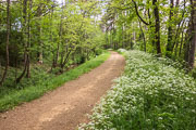 150506_Compostelle_Grabels_Pau_151.jpg