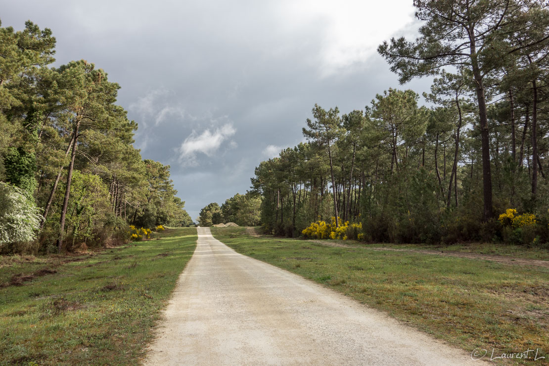 Etape 2 : Les Mathes nord ↔ Hiers (24,2 kms)  |  30/04/2018 - 09:23  |  45°44'30" N 1°12'18" W  |  14 m  |  Il me faut quitter le littoral car le GR4 s'enfonce dans les forêts maritimes des Mathes, puis de la Coubre. En cette deuxième étape, le temps menace avec quelques giboulées sans conséquence. Le parcours parfois vallonné emprunte des dunes plus ou moins stable rendant ma progression ralentie en certains endroits.