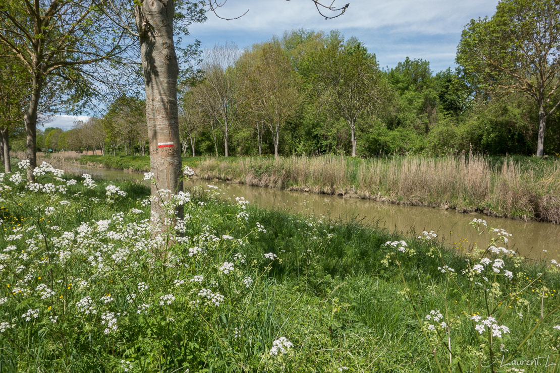 Etape 3 : Hiers ↔ Pont-l'Abbé-d'Arnoult (27,7 kms)  |  01/05/2018 - 12:35  |  45°52'41" N 0°56'52" W  |  4 m  |  Après des paysages de marais, je longe le canal de la Seudre à la Charente. Le sentier est bien balisé et entretenu depuis mon départ de Royan. Le temps est aussi de la partie.