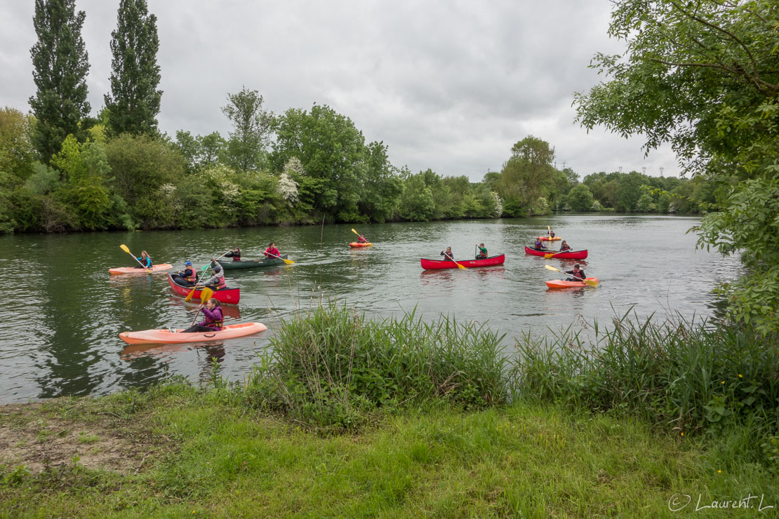 Etape 5 : Saint Georges-des-Coteaux ↔ Saint Bris-des-Bois (29,6 kms)  |  03/05/2018 - 11:27  |  45°45'13" N 0°37'32" W  |  4 m  |  En quittant Saintes, je longe la Charente. Quelques écoliers, emmenés par des animateurs impliqués, jouent à quelques jeux en canoë. L'ambiance est joviale. Plus loin, je traverse sur plus de deux kilomètres le golf Louis Rouyer Guillet. Cette étape ne manque pas de surprises en me faisant cheminer dans une variété de paysages et de sites.