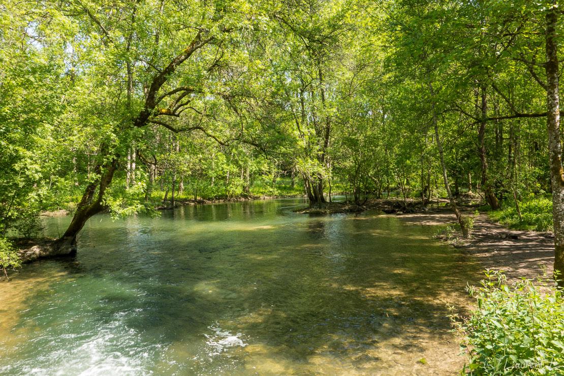 Etape 6 : Saint Bris-des-Bois ↔ Cognac (23,1 kms)  |  04/05/2018 - 14:19  |  45°43'10" N 0°21'34" W  |  8 m  |  Avant d'arriver à Cognac, je longe le cours d'eau de l'Antenne, un affluent de la Charente propice aux promenades dominicales. C'est un site Natura 2000, ce qui au vu de sa biodiversité ne me surprends pas. Cette partie du GR4 fait une place de choix aux écosystèmes des cours d'eau. le lendemain, je dois longer la Charente.