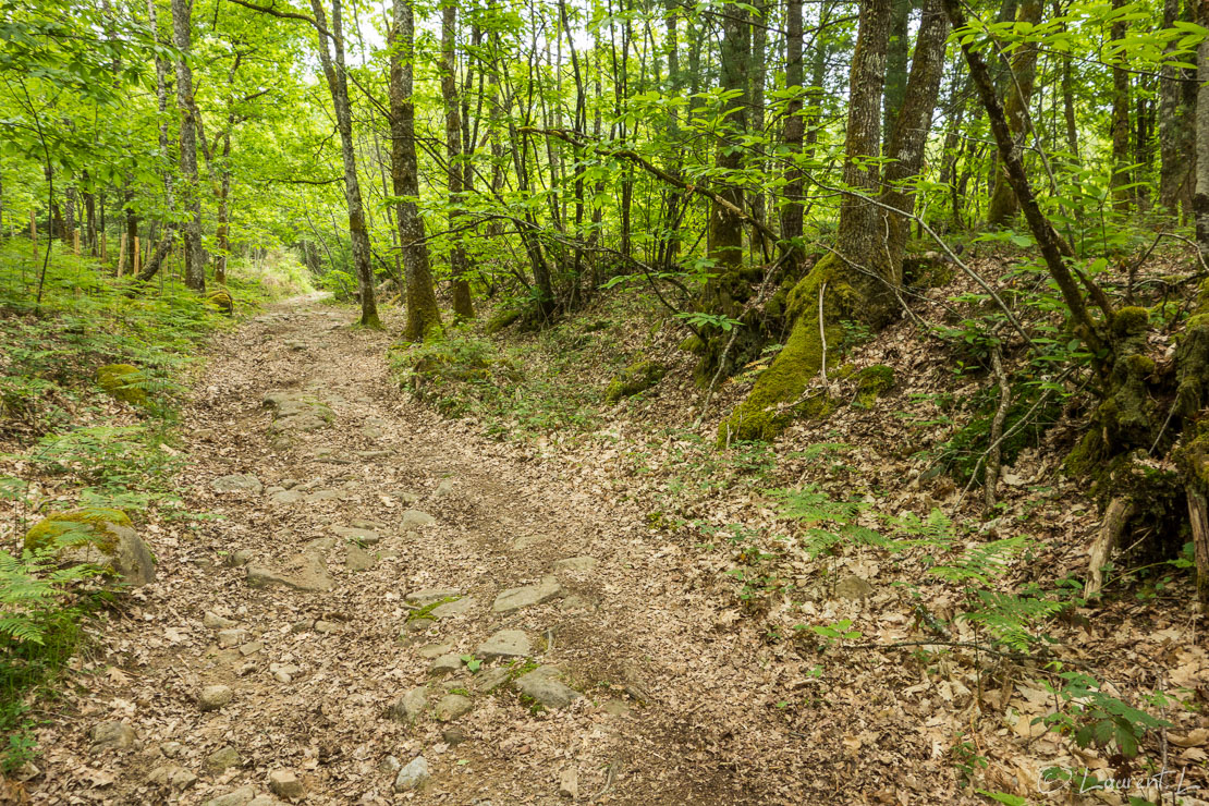 Etape 12 : Augignac ↔ Cussac La Bénéchie (31,0 kms)  |  10/05/2018 - 10:57  |  45°35'11" N 0°46'6" E  |  274 m  |  La douzième étape, sans doute la plus belle de mon périple, me fait traverser le Périgord Vert et ses magnifiques forêts. Par endroit, j'emprunte une ancienne voie romaine, comme ici à la sortie d'Abjat-sur-Bandiat. Quelques pavages de cette voie millénaire en granit sont encore visibles. Ce matériau largement utilisé localement pour la construction ne me quittera plus jusqu'à la fin de mon périple aux portes du Massif Central.