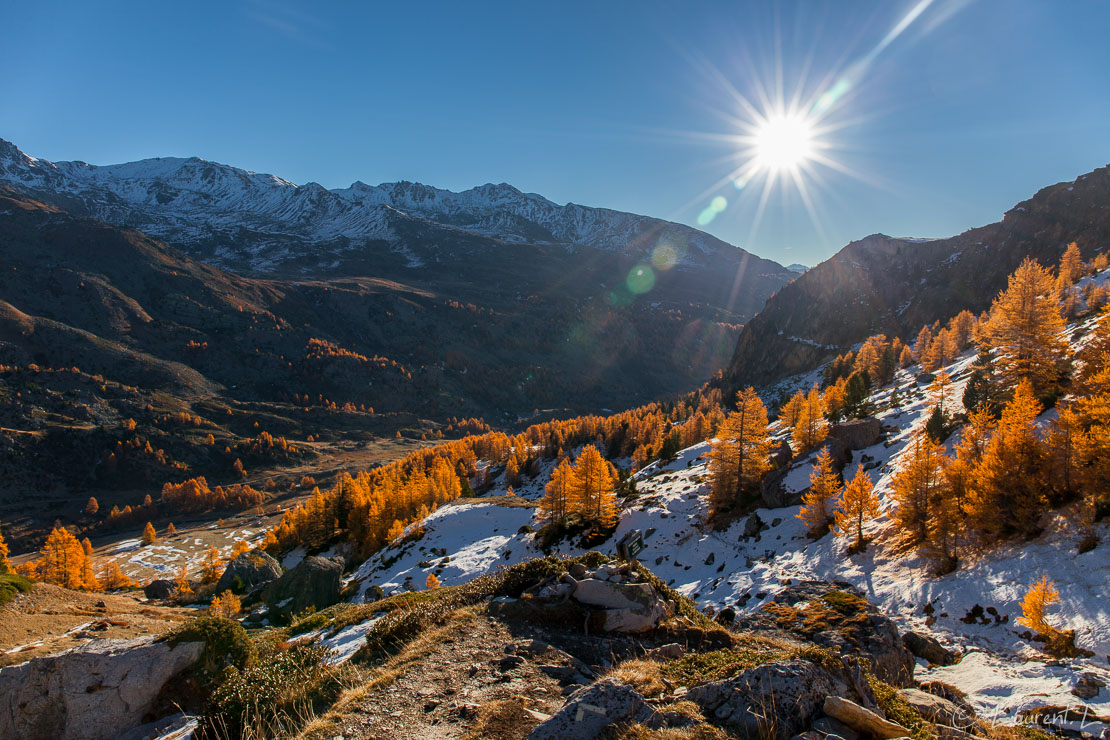 Flare sur mélèzes en feu  |  1/50 s à f/9,0 - 100 ISO - 24 mm  |  30/10/2016 - 10:18  |  45°3'38" N 6°30'45" E  |  2250 m